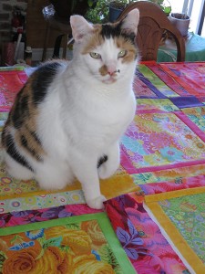 Sasha helping with quilt layout.